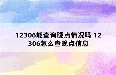 12306能查询晚点情况吗 12306怎么查晚点信息